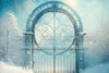 Frosty Blue Gate (SM) 