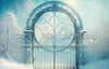 Frosty Blue Gate (SM) 