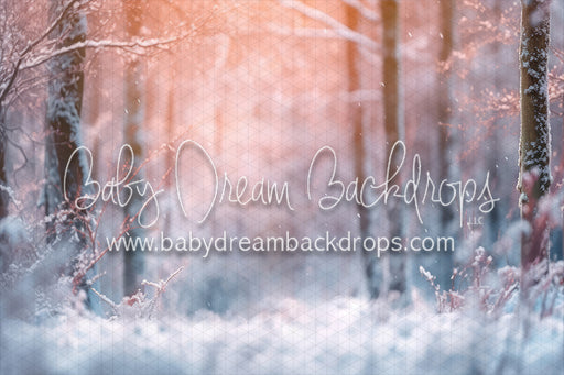 Frosty Dawn (AD)