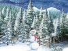 Frosty forest 60x80 BD  