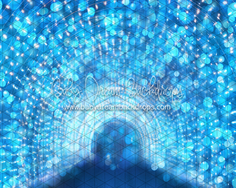 Frozen Walk Bokeh (JA)