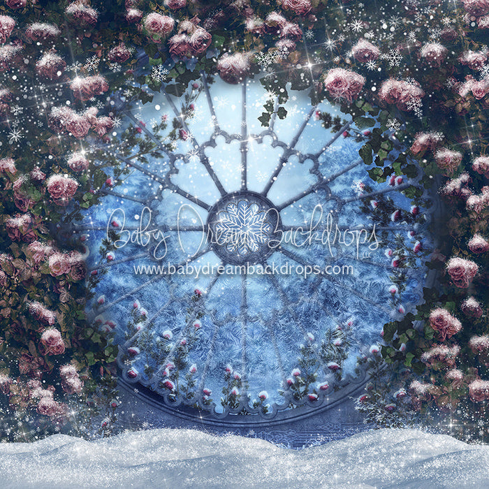 X Drop frozen garden view