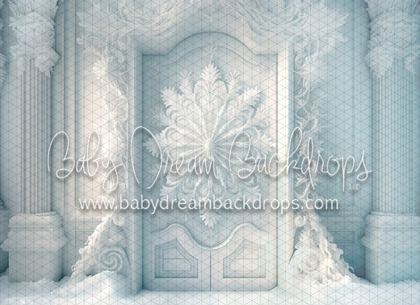 Frozen Snow Door (MD)