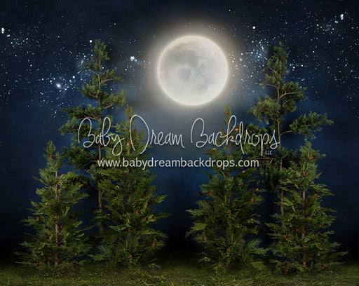 Full Moon Forest