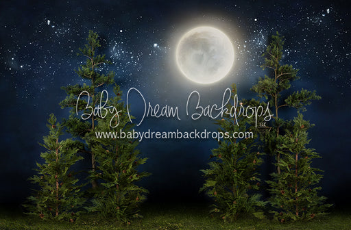 Full Moon Forest