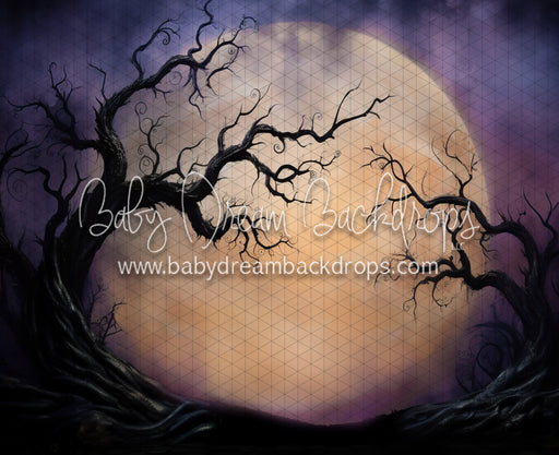 Full Moon on the Horizon (JA)