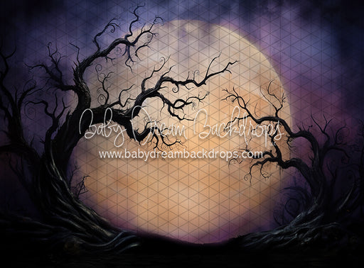 Full Moon on the Horizon (JA)