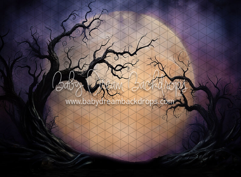 Full Moon on the Horizon (JA)