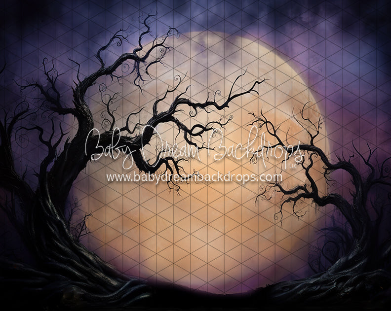 Full Moon on the Horizon (JA)