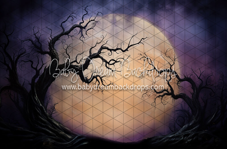 Full Moon on the Horizon (JA)