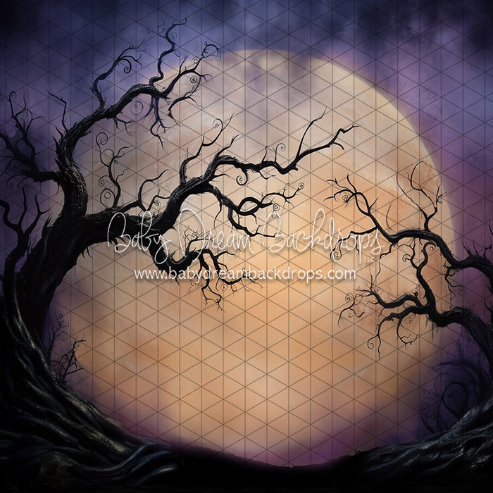 Full Moon on the Horizon (JA)