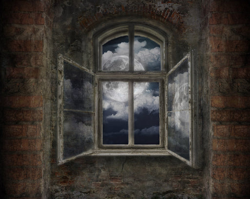 Full Moon View - 8x10 