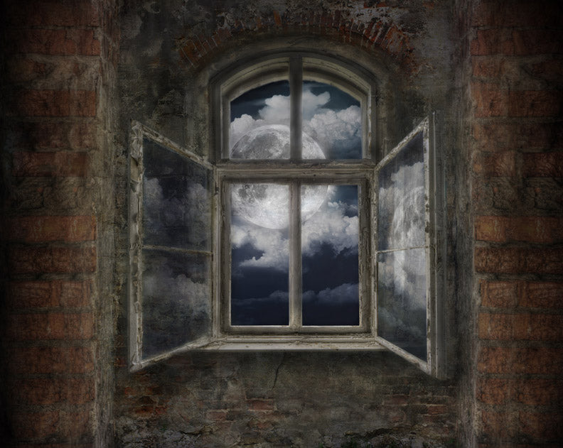 Full Moon View - 8x10 