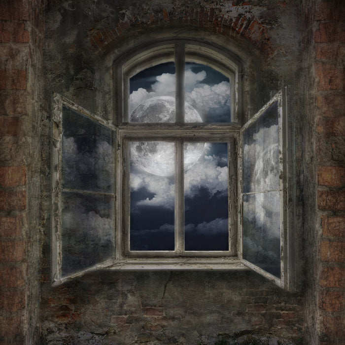 X Drop full moon view