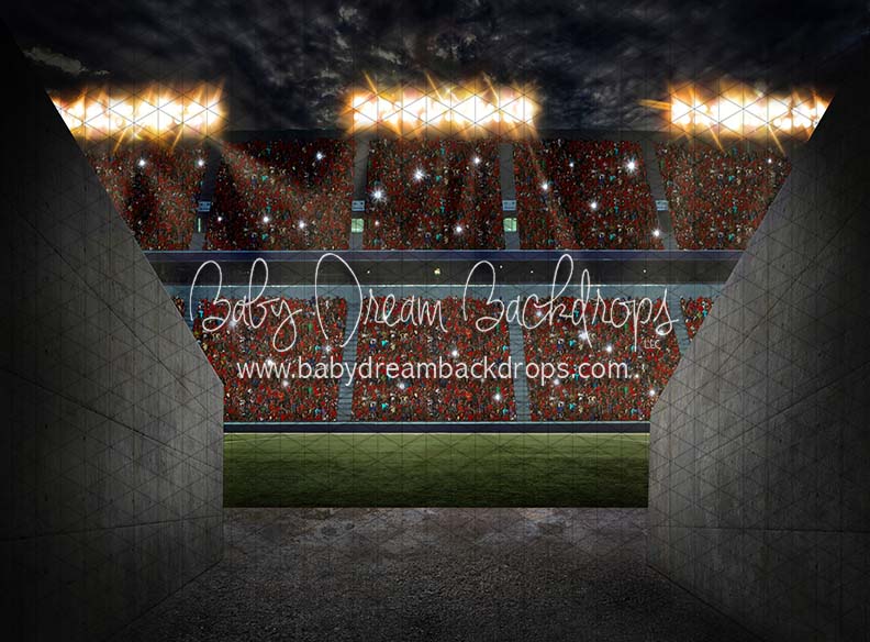 Game Day Tunnel