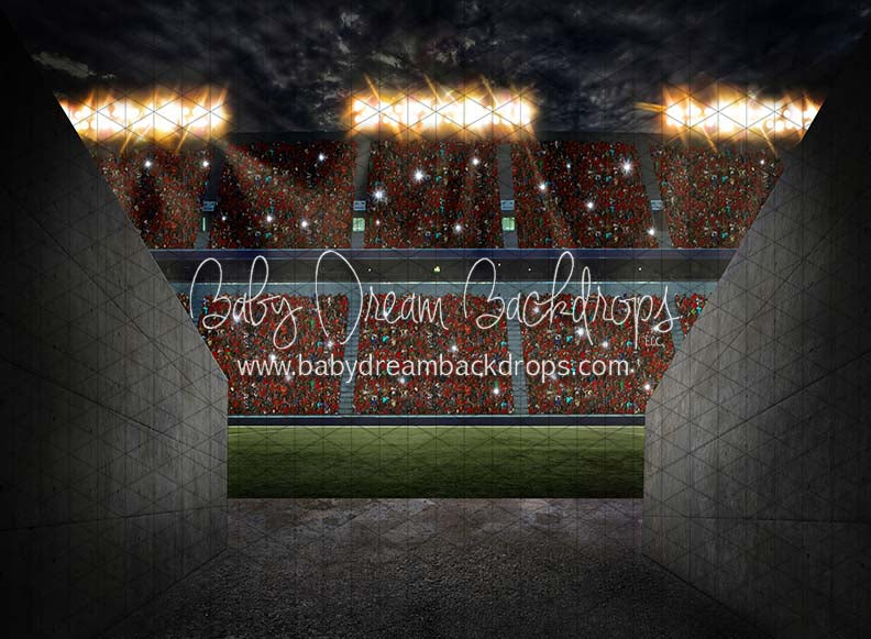 Game Day Tunnel (CC)