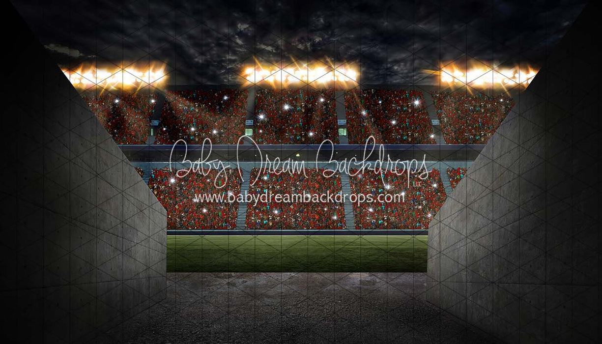 Game Day Tunnel (CC)