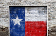 Garage Day Door Texas (CC)