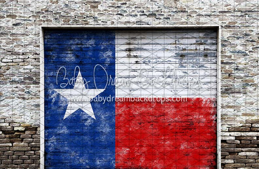 Garage Day Door Texas (CC)