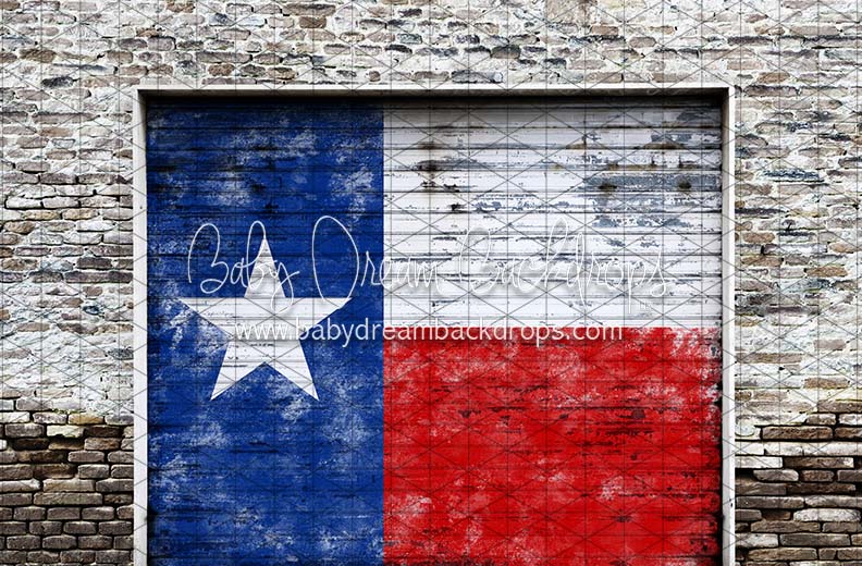 Garage Day Door Texas (CC)