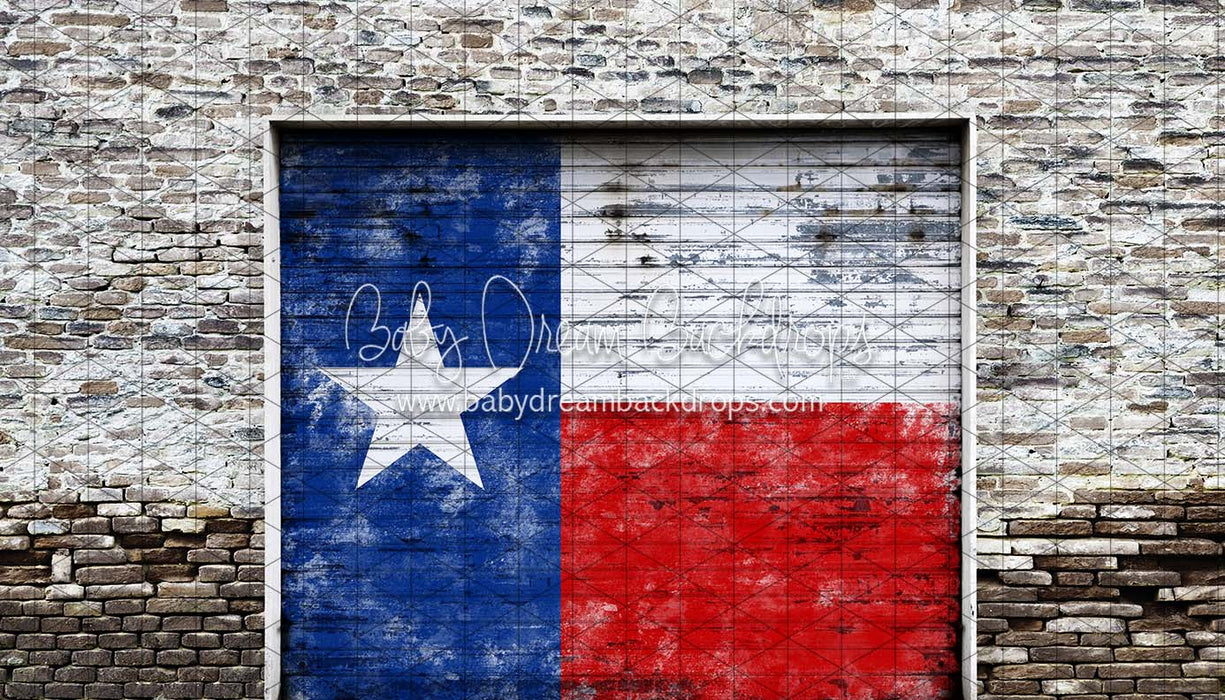 Garage Day Door Texas (CC)