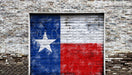 Garage Day Door Texas (CC)