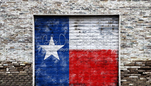 Garage Day Door Texas (CC)