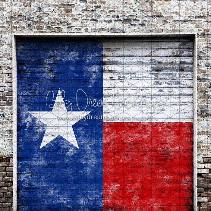 X Drop garage day door texas cc