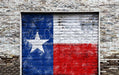 Garage Day Door Texas (CC)