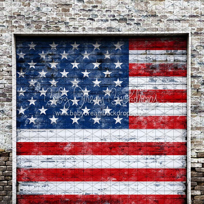 X Drop garage day door usa cc