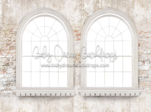 Garden Dreams Window