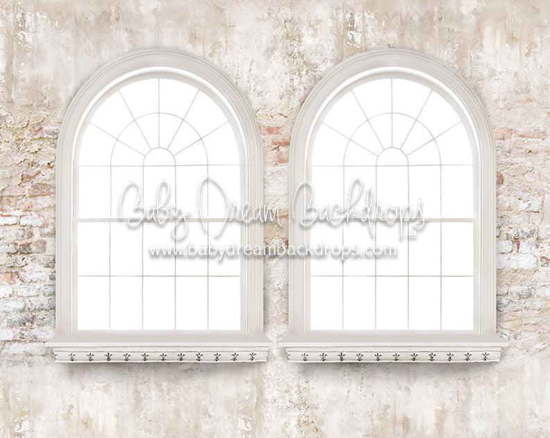 Garden Dreams Window