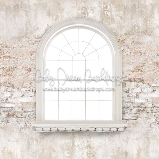 Garden Dreams Window