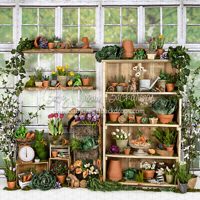 X Drop garden green house