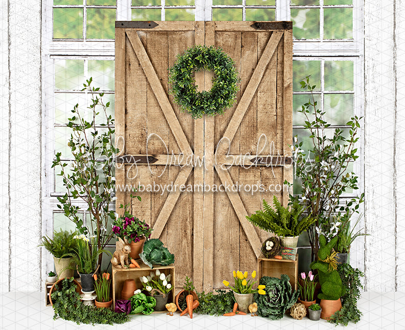 Garden Green House Door