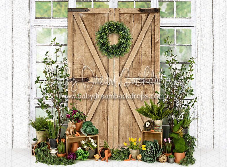 Garden Green House Door