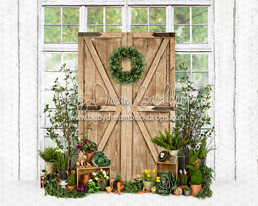 Garden Green House Door