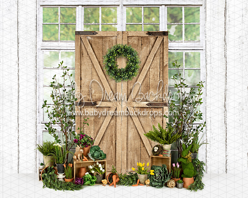 Garden Green House Door