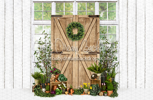 Garden Green House Door