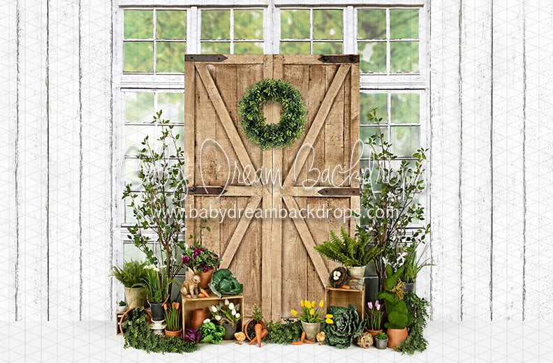 Garden Green House Door