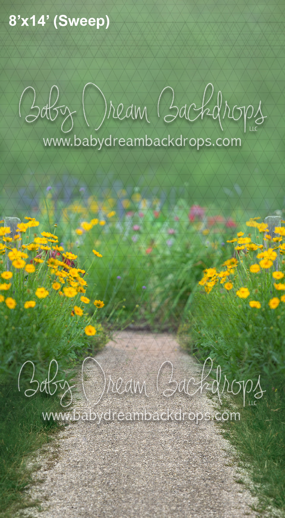 X Drop Sweeps garden path ad — Baby Dream Backdrops