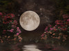Garden by the Moonlight - 60x80  
