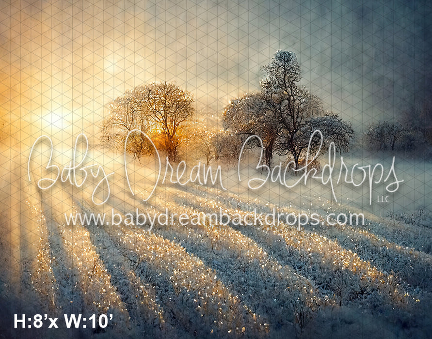 Glittering Snow Field (SM)