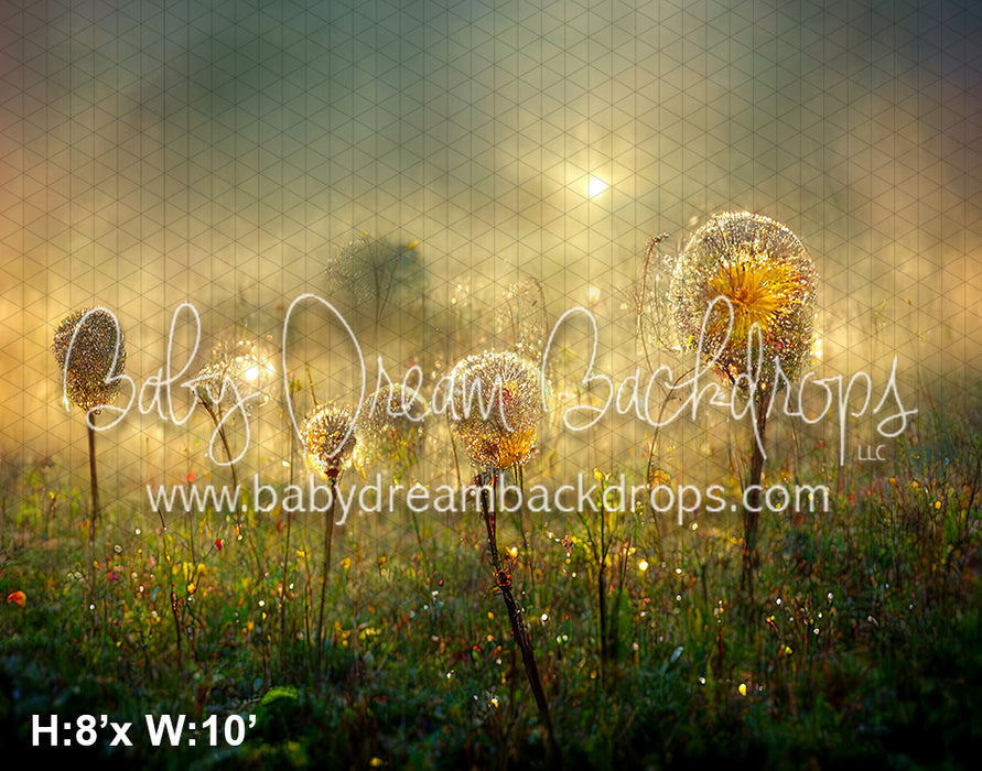 Glowing Dandelions (SM)