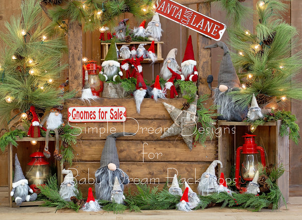 Gnomes for Sale Wood