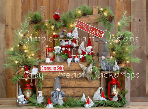 Gnomes for Sale Wood