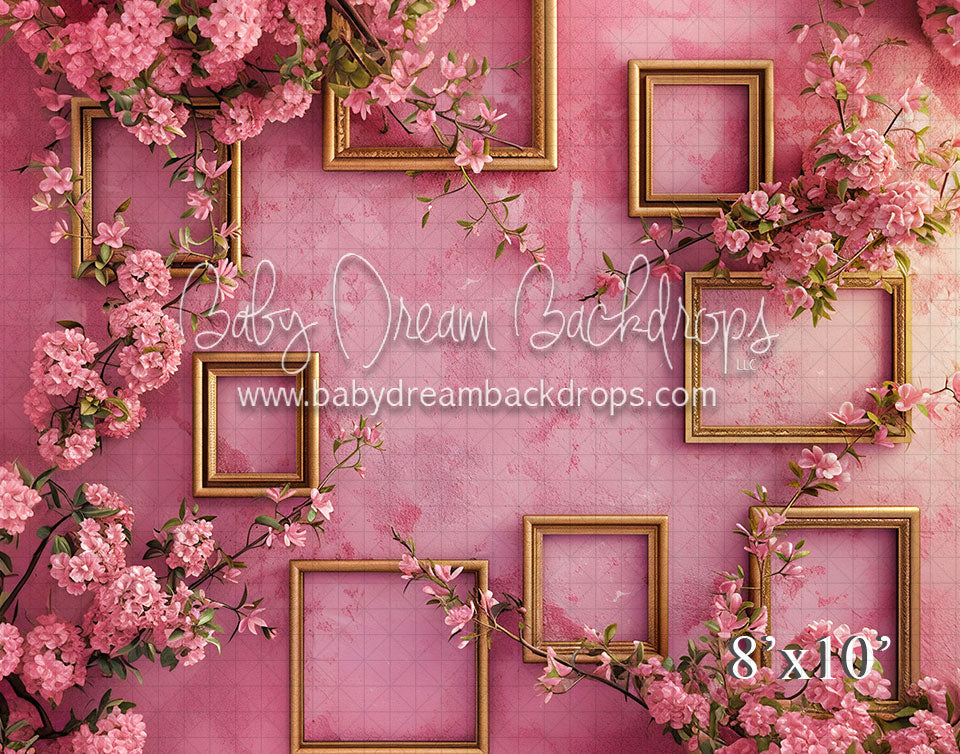 Gold Frames on Pink Wall (VR) — Baby Dream Backdrops