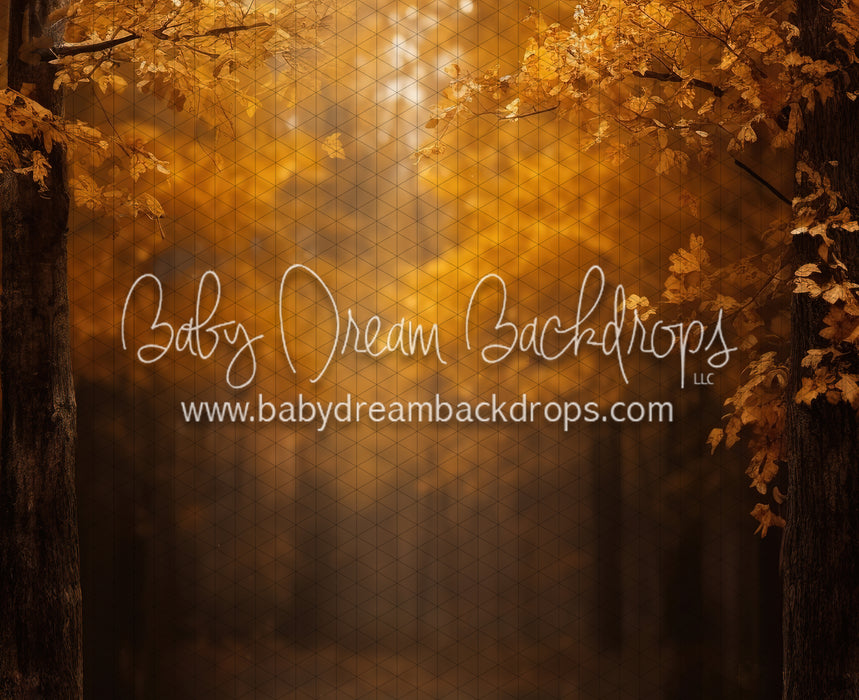 Golden Fall Hour (JA)