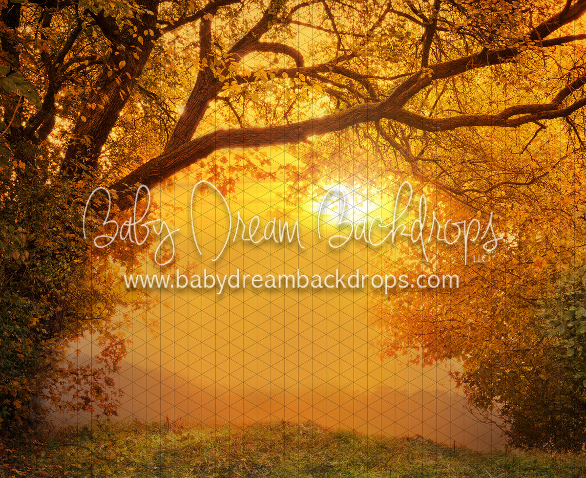 Golden Fall Sunset (CC) — Baby Dream Backdrops