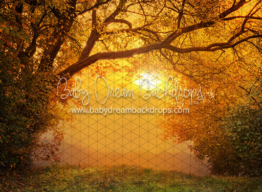 Golden Fall Sunset (CC)